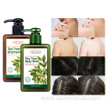 Tea Tree Shampoo And Bath Body Wash